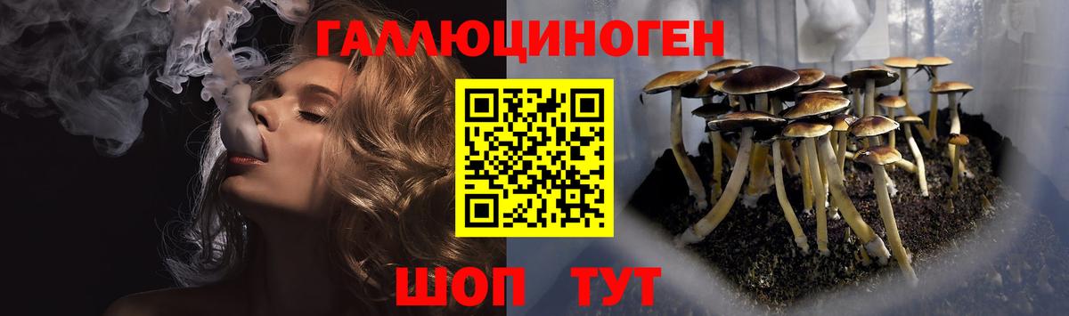 Городец  Псилоцибиновые грибы Psilocybe  Вход с VPN  Галлюциногенные грибы ЛСД 